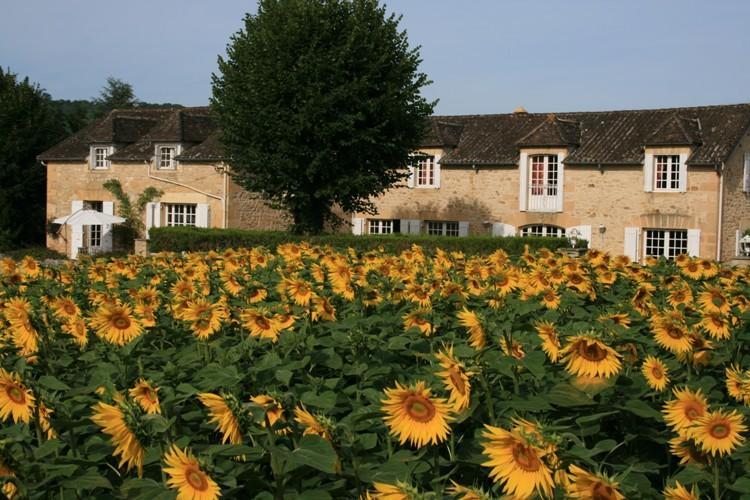 Villa Domaine Des Hirondelles Saint-Vincent-de-Cosse Zimmer foto